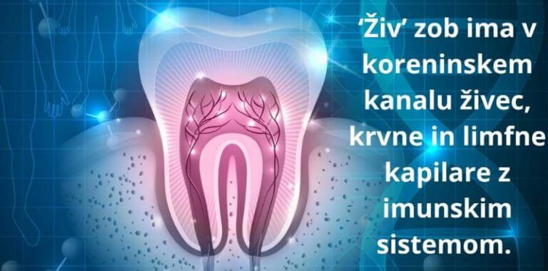 Mrtev zob v koreninskem kanalu nima živca, krvnih in limfnih kapilar z imunskim sistemom ZAPER amritana