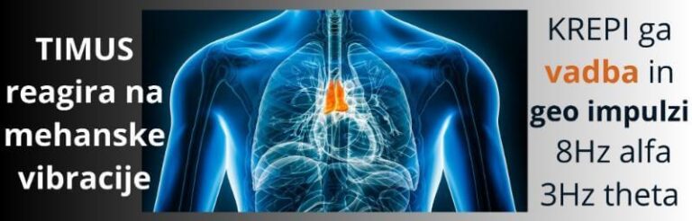 TIMUS krepi vadba in mehanske vibracije in Schumannovi geo impulzi 8Hz frekvence ZAPER